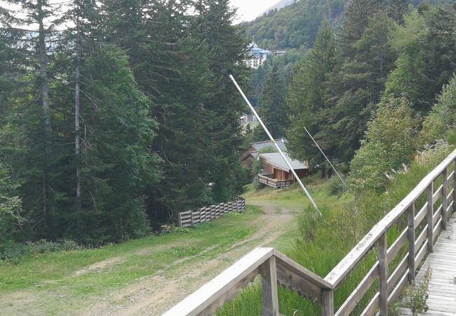 Apartamento en Laveissière - CHALET DUPLEX 3 CH PIED DE PISTE , CENTRE STATION, PARKING , WIFI  Apartamento en Laveissière - CHALET DUPLEX 3 CH PIED DE PISTE , CENTRE STATION, PARKING , WIFI