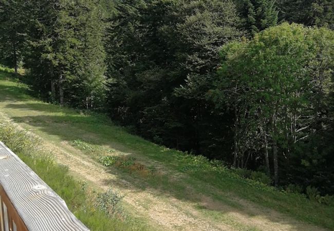 Appartement à Laveissière - CHALET DUPLEX 3 CH PIED DE PISTE , CENTRE STATION, PARKING , WIFI  Appartement à Laveissière - CHALET DUPLEX 3 CH PIED DE PISTE , CENTRE STATION, PARKING , WIFI