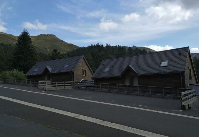 Appartement à Laveissière - CHALET DUPLEX 3 CH PIED DE PISTE , CENTRE STATION, PARKING , WIFI  Appartement à Laveissière - CHALET DUPLEX 3 CH PIED DE PISTE , CENTRE STATION, PARKING , WIFI