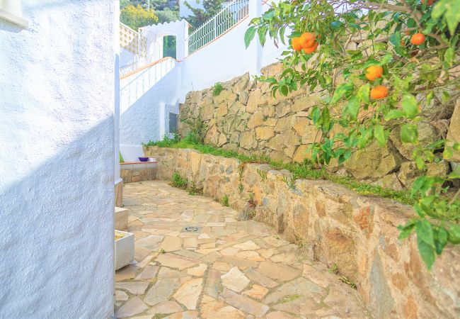 Villa à Rosas / Roses - LA CASUCA TRES BELLE VILLA CASUCA 4ch,magnifique vue mer,PISCINE,WIFI,PARKING Villa à Rosas / Roses - LA CASUCA TRES BELLE VILLA CASUCA 4ch,magnifique vue mer,PISCINE,WIFI,PARKING