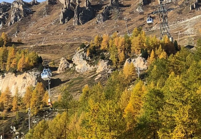 Appartement à Val-d´Isère - L'ALBARON 3CH,WIFI,PARKING, 100 m PISTES Appartement à Val-d´Isère - L'ALBARON 3CH,WIFI,PARKING, 100 m PISTES